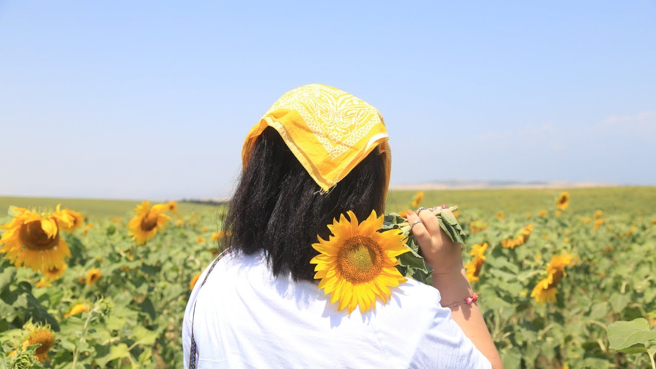 Aqrar sığorta ödənişlərində REKORD – 4 milyon manatdan çox ödəniş edilib
