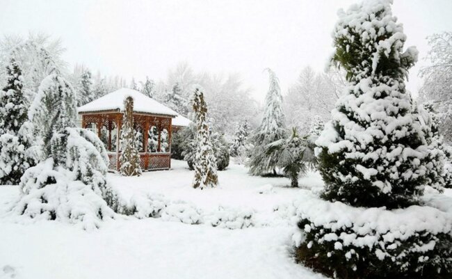 Ordubada 35 sm qar yağıb