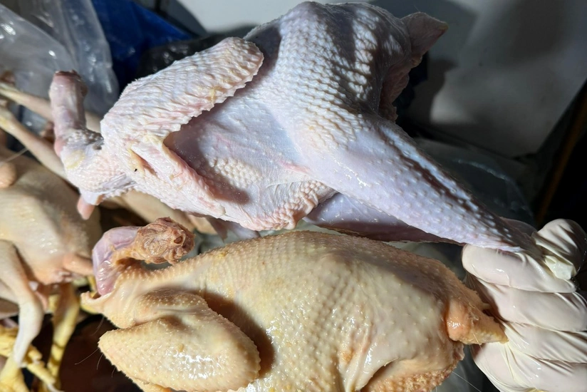 Xırdalanda toyuqları rəngləyib “kənd toyuğu” adı ilə satmaq istədilər: ifşa oldular