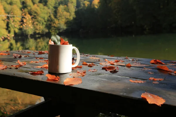 Şənbə günü hava necə olacaq?