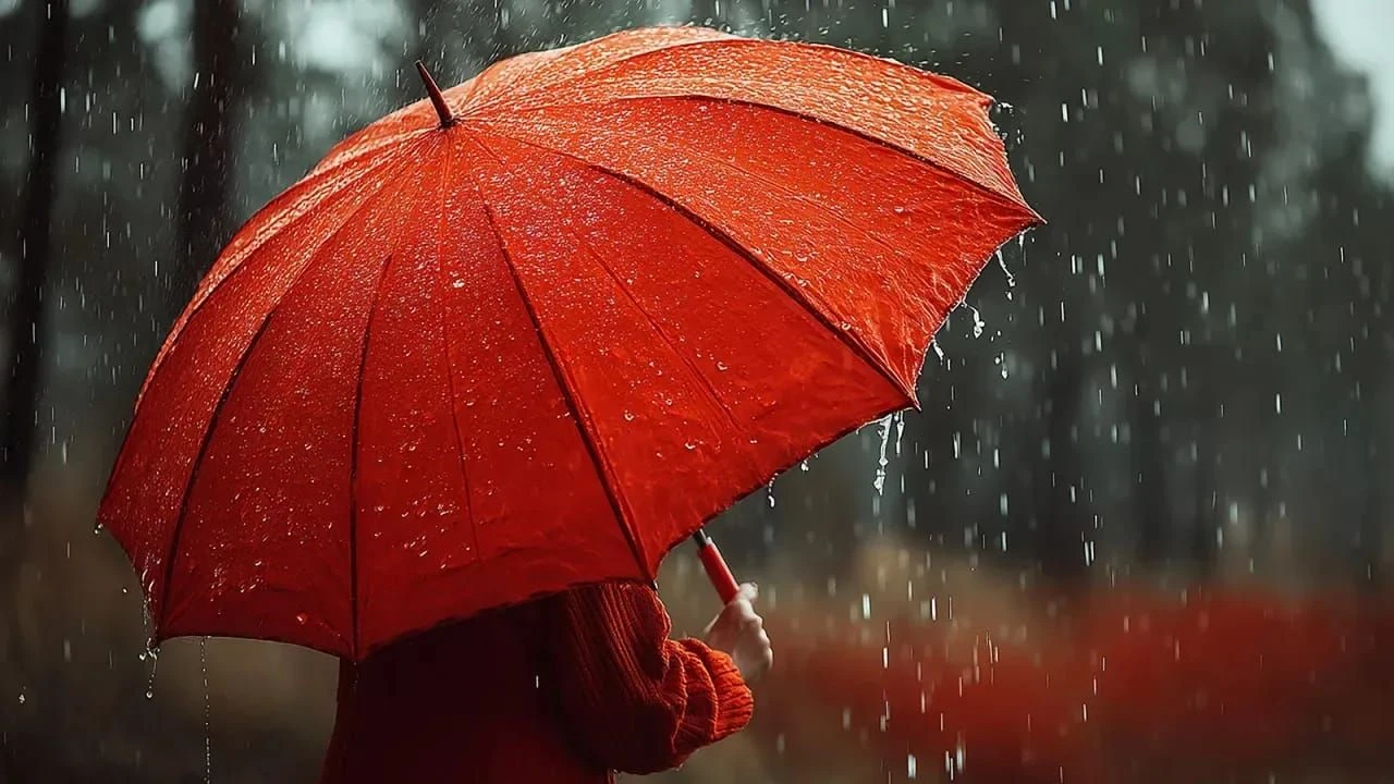 Sabahın hava proqnozu