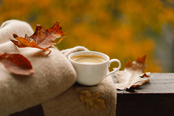 Sabahın hava proqnozu