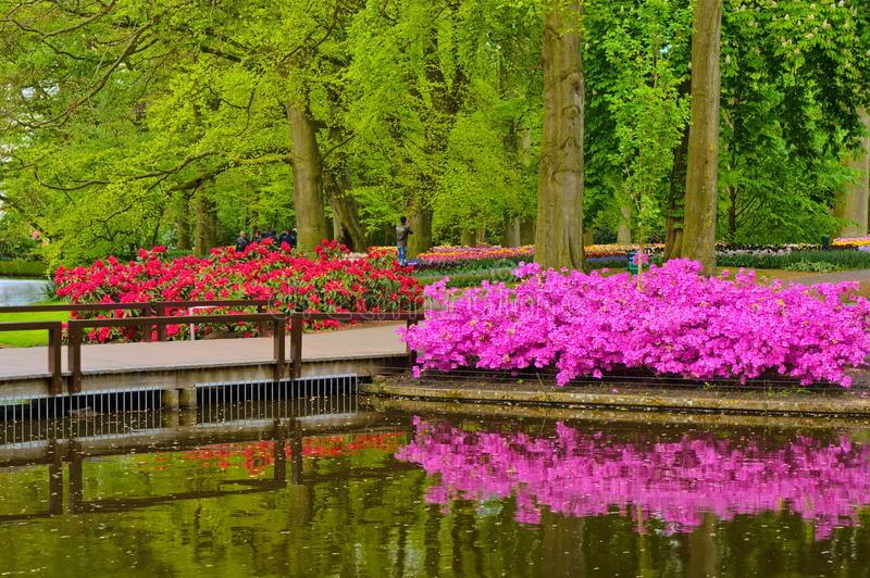 Sabahın hava proqnozu