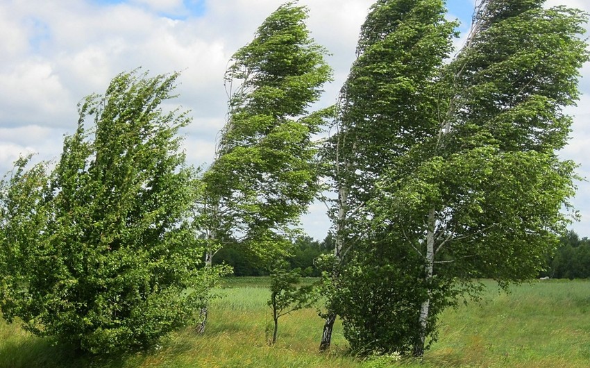 Bazar günü yağış yağacaq, külək əsəcək