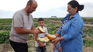 Kürdəmirdə “Bostan” festivalı keçiriləcək