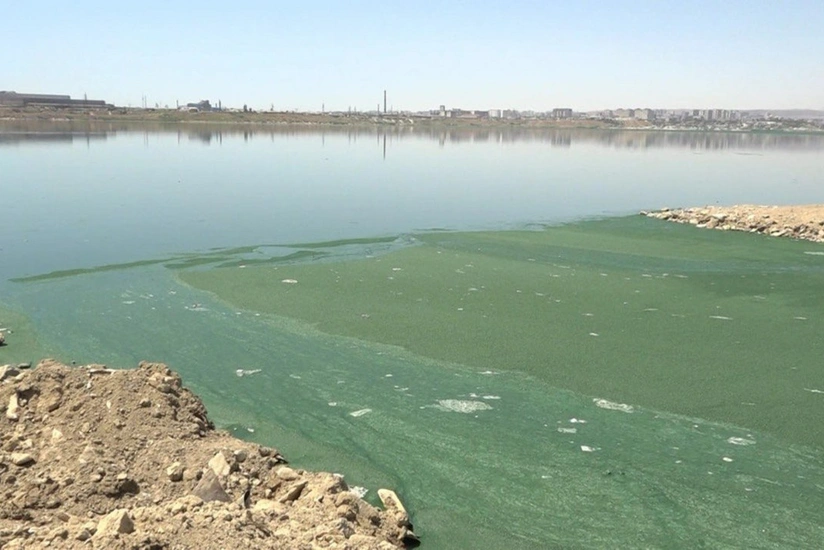 Dünya Bankı Abşeron göllərinin bərpasına qrant ayırıb