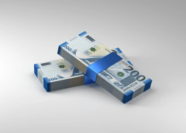  11 ayda büdcədən 293 milyon manata yaxın vəsait geri qaytarılıb