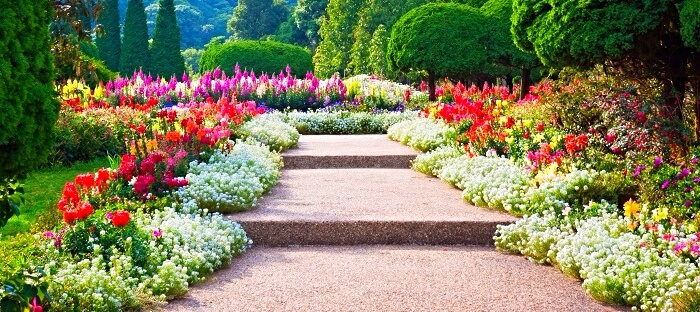 Sabahın hava proqnozu