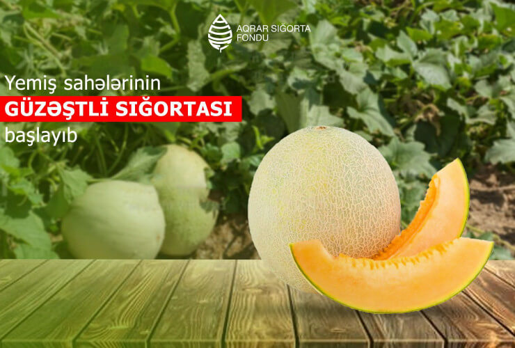 Yemiş sahələri də sığortalanacaq – İLK DƏFƏ