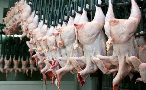 Belarusdan gətirilən “halal” toyuq əti alıcıya 3-3,5 manata təklif olunur