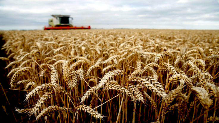 Prezident: "Həmin ərazilərdə taxılın məhsuldarlığı 1 tondan aşağıdır"