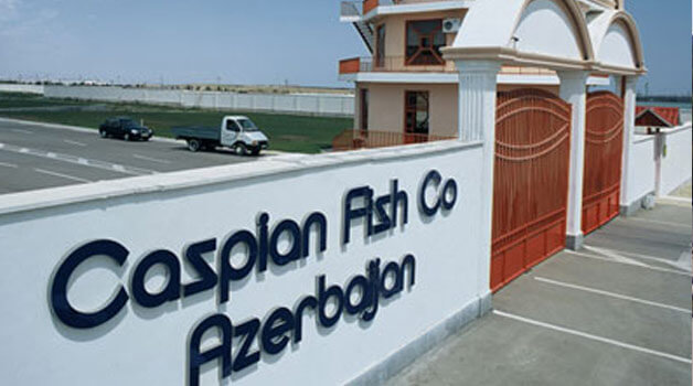 “Caspian Fish” məcburi auditdən yayınmağa görə cərimələnir
