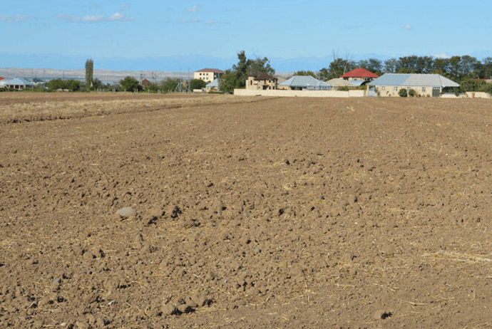Ölkədə ipoteka krediti üzrə torpaqların ən çox girov qoyulduğu ərazilər açıqlanıb - SİYAHI