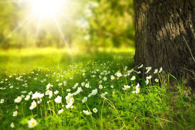 Müstəqillik Gününün hava proqnozu