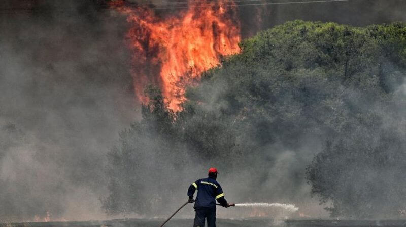 Yunanıstanda meşə yanğınları davam edir