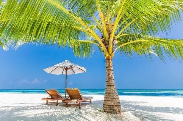 Sabahın hava proqnozu