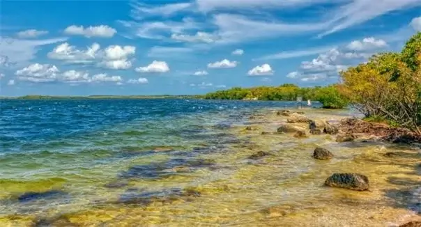 Floridada rekord istilik: Okean cakuziyə çevrildi