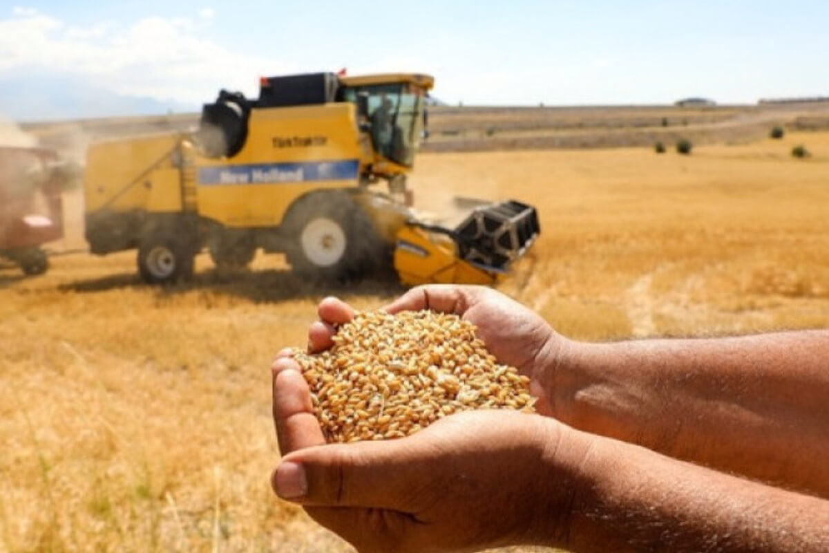 Rusiya Afrikaya pulsuz taxıl göndərəcək