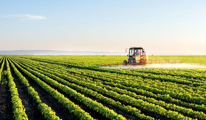 Aqrar sektor 3%-dən çox böyüyüb