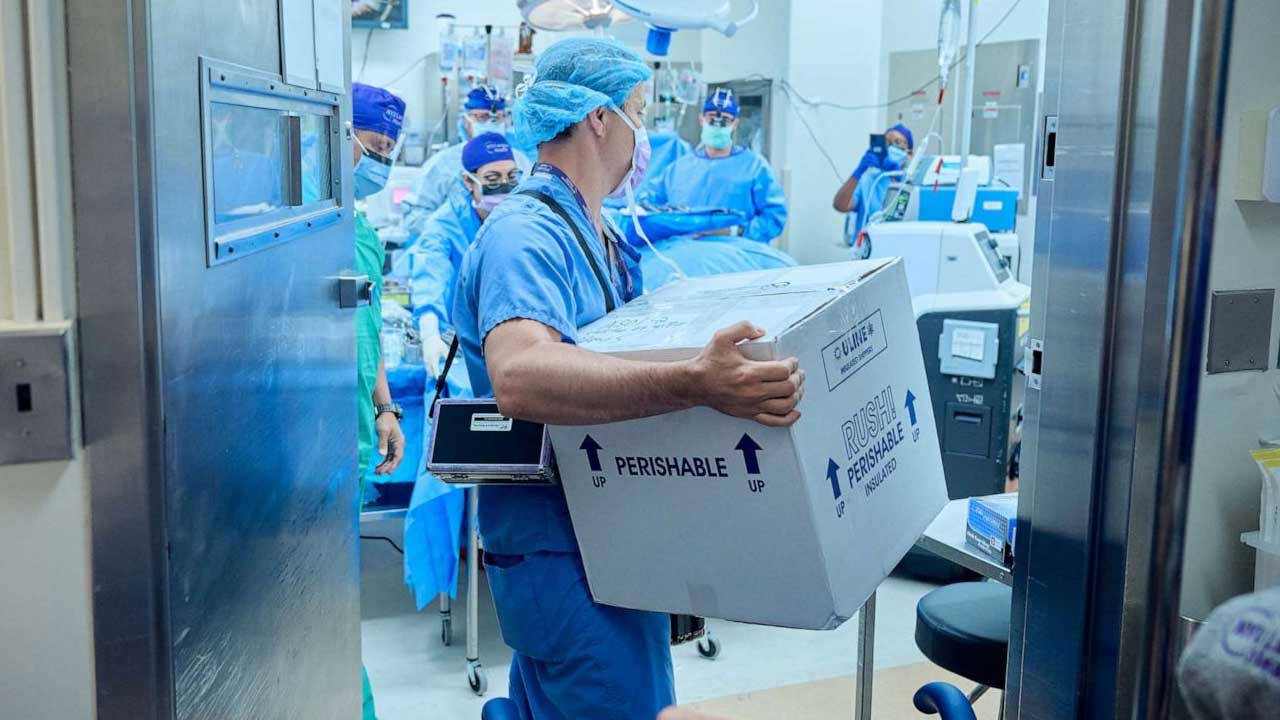 Dünyada ilk dəfə donuz böyrəyi insana köçürüldü