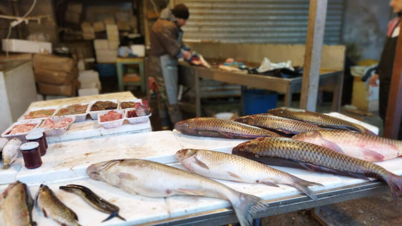 Balıq bazarı ilə bağlı araşdırma aparılıb