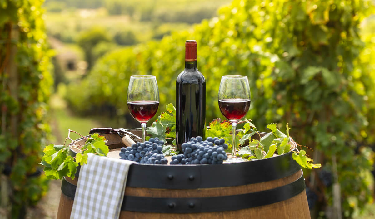 Fransa şərabı məhv etmək üçün fermerlərə 200 milyon avro ödəyəcək