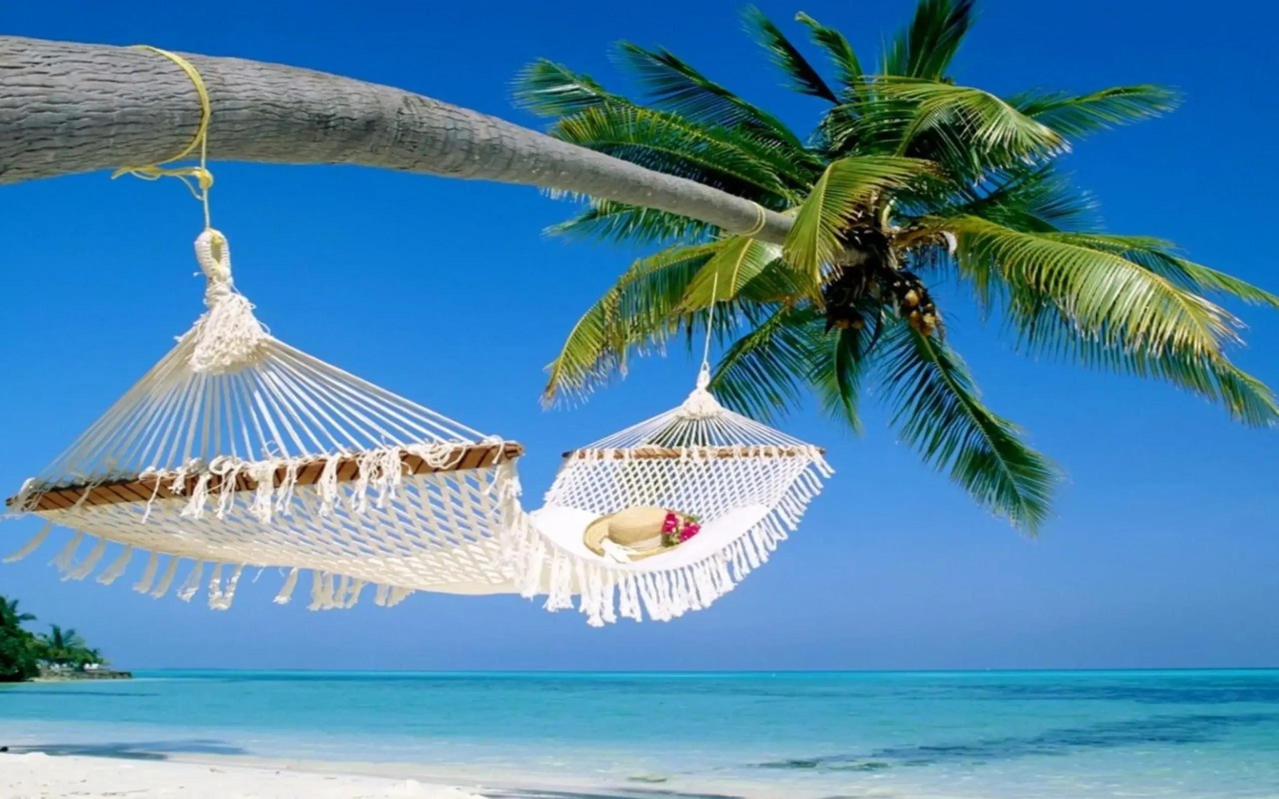 Sabahın hava proqnozu