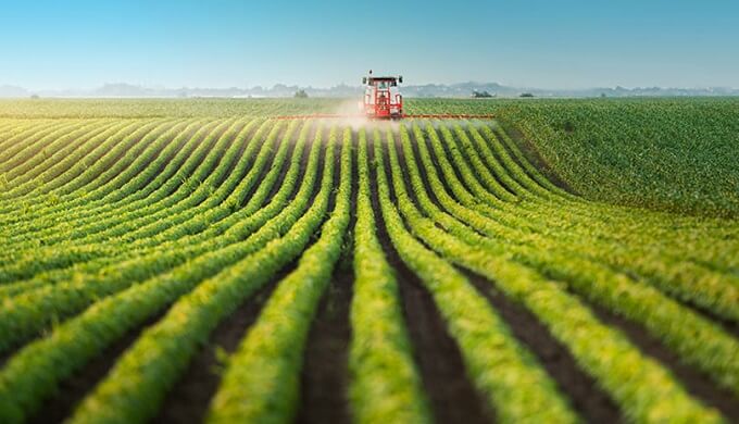 Kənd təsərrüfatı xərcləri 8% azaldılır