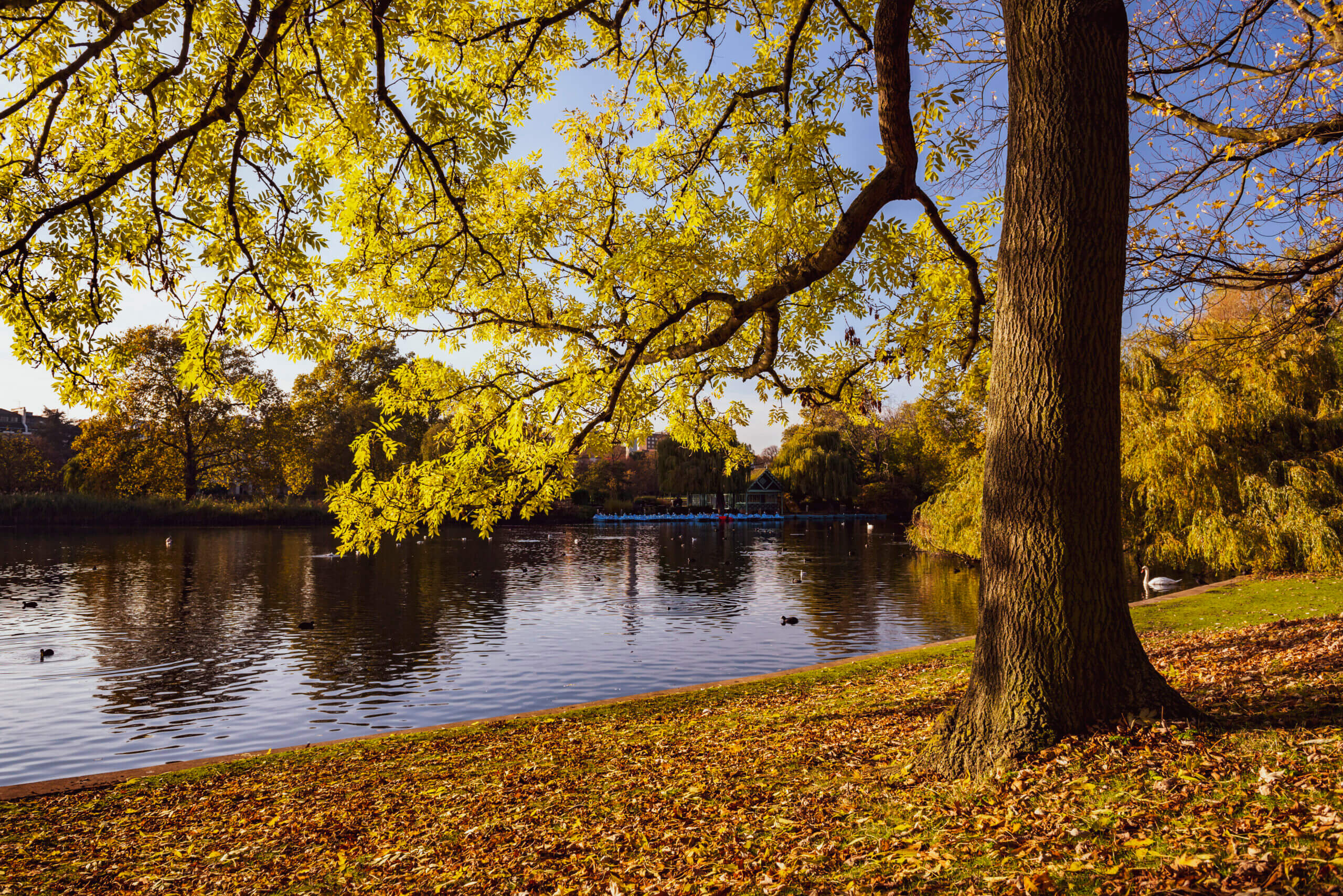 Azərbaycana payız fəsli daxil oldu