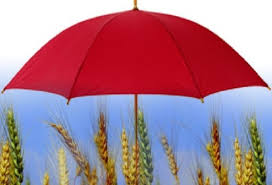 Fermerlərə dəymiş zərərlər üzrə 1,7 milyon manatdan çox ödəniş edilib